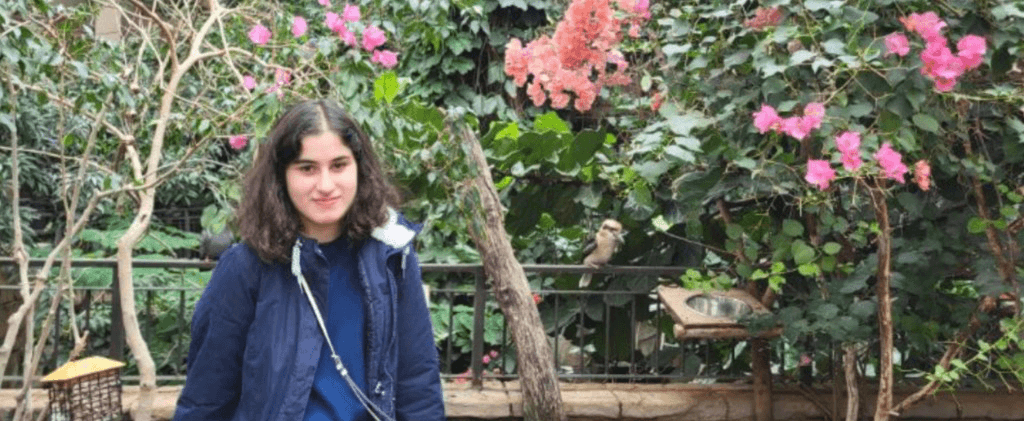 Dorsa